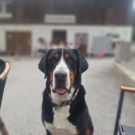 Appartamento Oberangerhof *