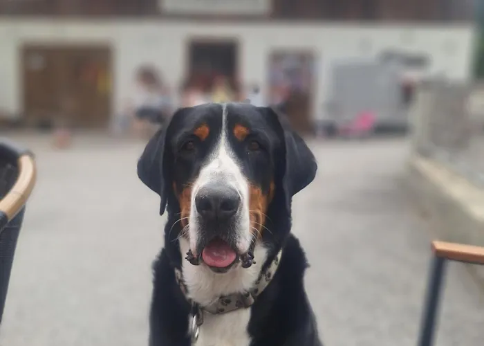 Appartamento Oberangerhof *