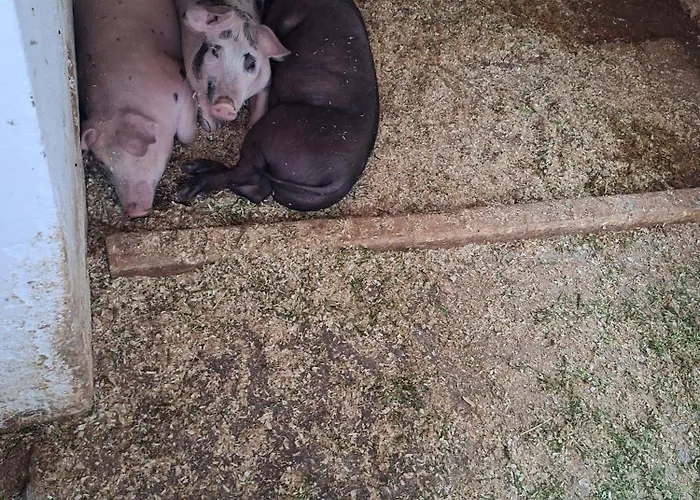 Oberangerhof Kaltenbach